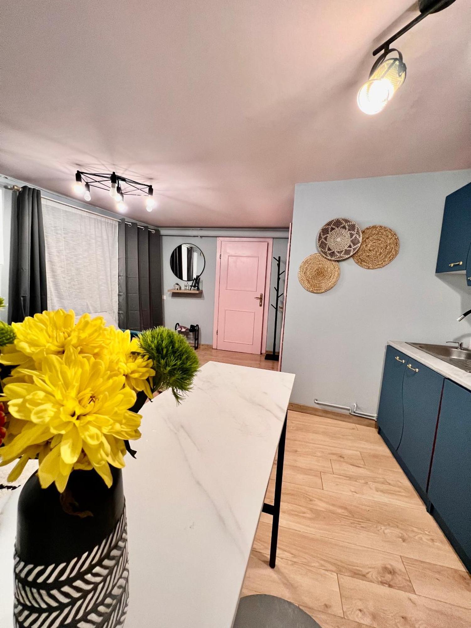 Old Town City Center Apartments Brassó Kültér fotó
